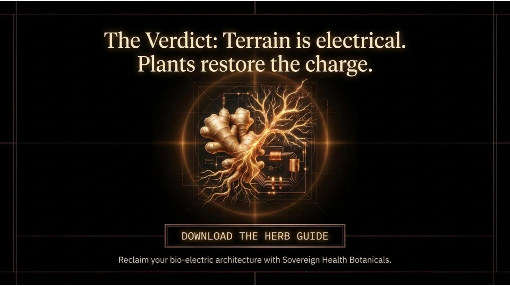 The Verdict — Terrain is electrical. Plants restore the charge. — Sovereign Health Botanicals