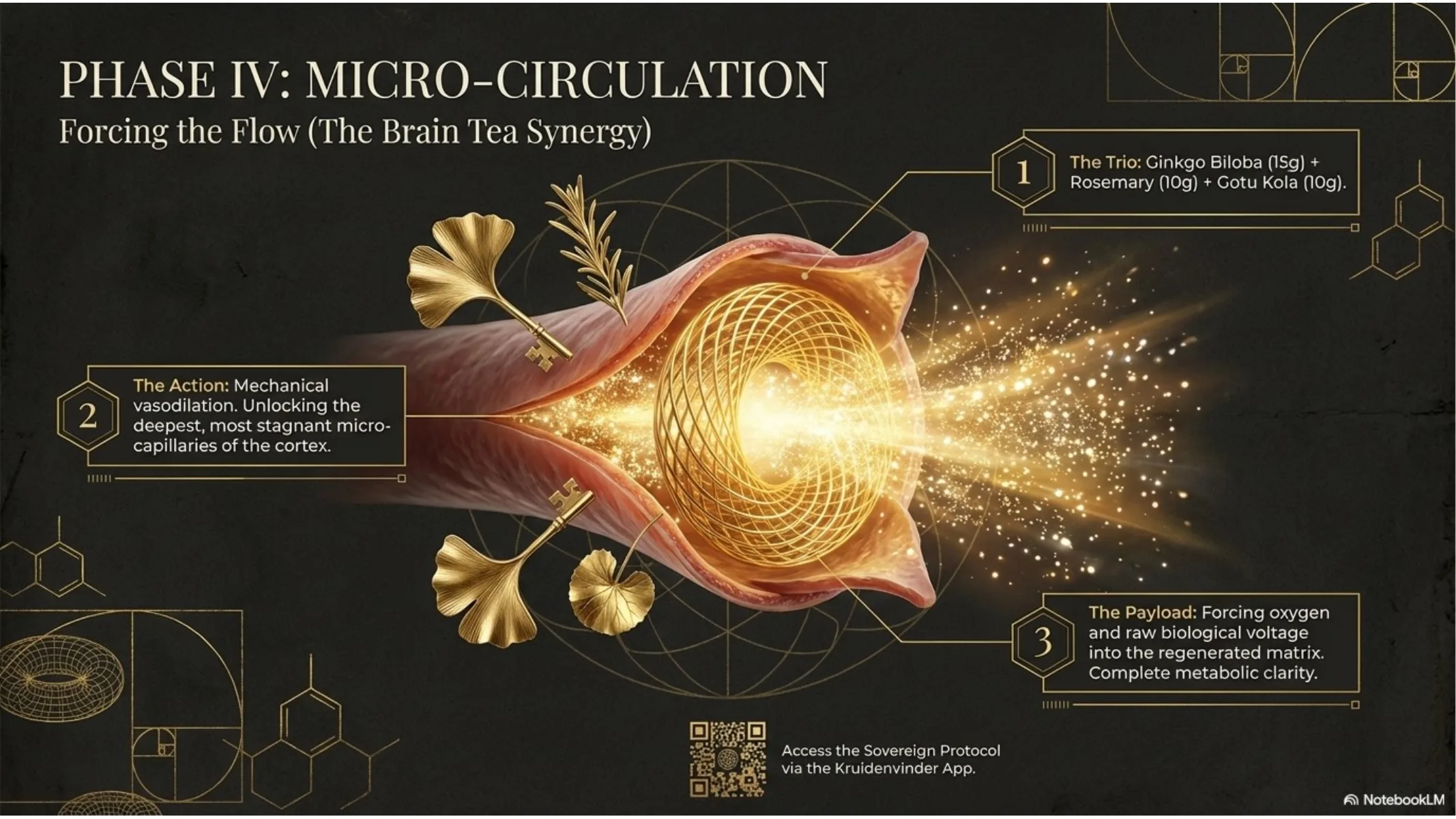 Phase IV: Micro-Circulation — Ginkgo Biloba, Rosemary, Gotu Kola Brain Tea Synergy